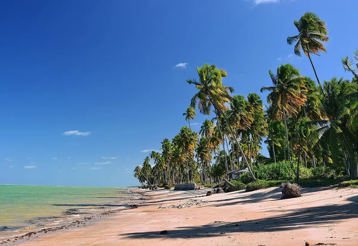 Praia do Patacho em Alagoas