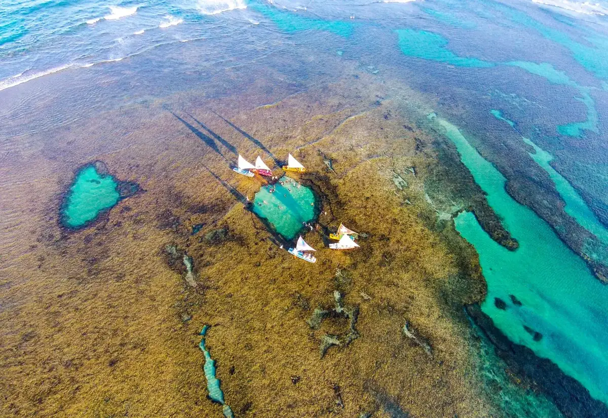 Piscinas naturais de Porto de Galinhas em Pernambuco